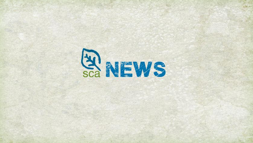 SCA Names Sarah Hoye as Senior Director Marketing and Communications